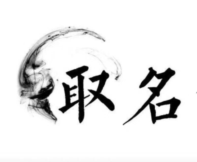  舒城宝宝取名 大师一对一人工起名